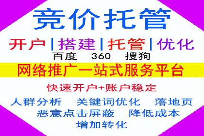 SEM推广实战：案例分析与优化